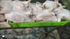 حجز كمية من اللحوم البيضاء الفاسدة موجهة للاستهلاك بمدينة باولاد عبو