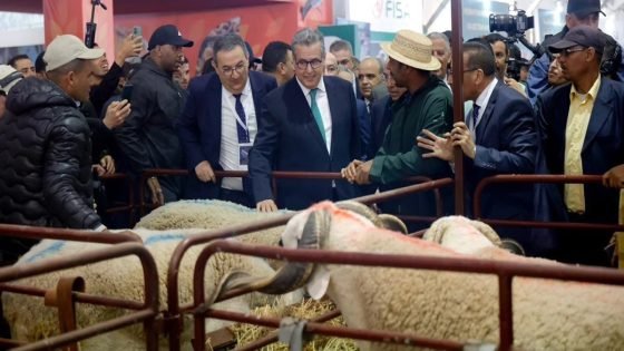 من معرض مكناس: أخنوش يوجّه الكسّابة لتسريع عرض الماشية في الأسواق