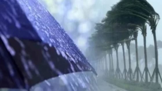 توقعات بأمطار رعدية ورياح قوية غداً الثلاثاء في المغرب