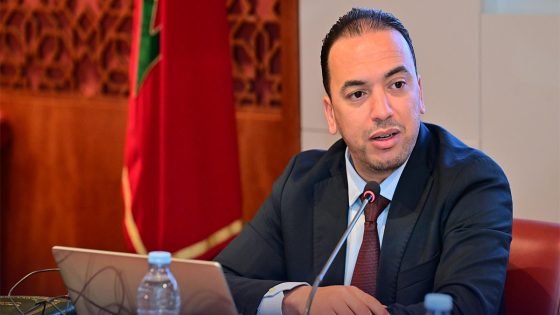 السعدي يؤكد ضرورة احترام الاقتصاد الاجتماعي والتضامني ويربط تطوير القطاع بإعادة النظر في العقليات
