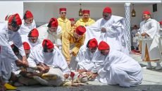 أمير المؤمنين يؤدي صلاة عيد الأضحى المبارك بمسجد أهل فاس بالرباط ويتقبل التهاني بهذه المناسبة السعيدة