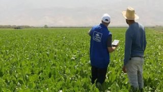 تجديد شهادة المسؤولية الاجتماعية للمقاولات لشركات “كوسومار ش.م” و”سونابيل” و”سوتا” من قبل “CGEM”