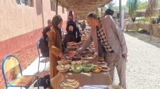 أزيلال : تنظيم معرض للبذور المقاومة للتغيرات المناخية بالاطلس الكبير بآيت امحمد