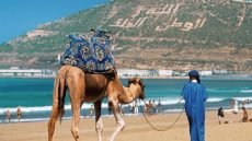 أكادير تستضيف ملتقى منتدى “ميديتور” المتوسطي للسياحة 2026