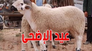 فاتح ذي الحجة غدا الاثنين وعيد الأضحى يوم الأربعاء 27 ماي 2026 (وزارة الأوقاف والشؤون الإسلامية)