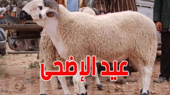 فاتح ذي الحجة غدا الاثنين وعيد الأضحى يوم الأربعاء 27 ماي 2026 (وزارة الأوقاف والشؤون الإسلامية)