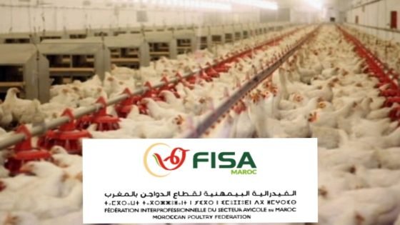 وضعية سوق الدواجن الوطني: الفيدرالية البيمهنية لقطاع الدواجن (FISA) توضح التطورات الأخيرة بالقطاع