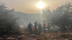 تعبئة ميدانية وجوية واسعة للسيطرة على حريق غابوي بمنطقة إنفرك بإقليم أزيلال
