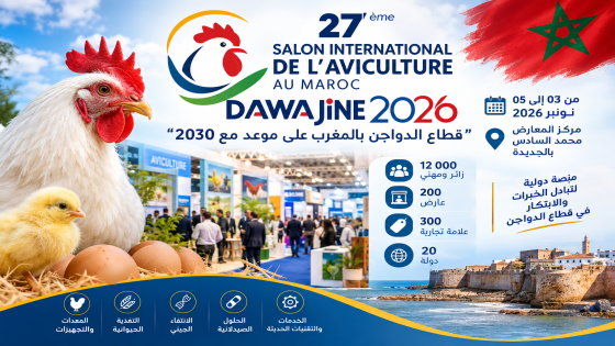 «دواجن 2026» بالجديدة.. قطاع الدواجن بالمغرب يستشرف آفاق 2030 بحضور دولي