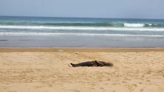 سواحل أكلو تلفظ جثث ثلاث مهاجرات وسط استمرار البحث