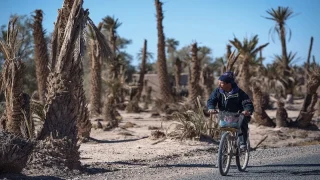 موجة حر جديدة مع زخات رعدية محلية