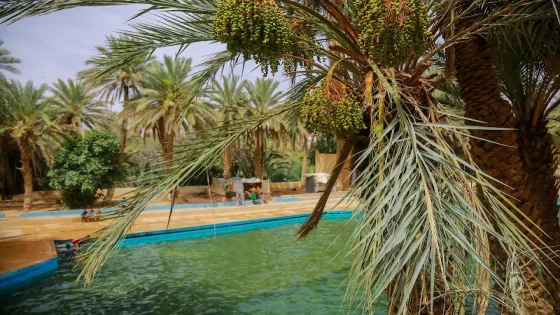 المديرية العامة للأرصاد الجوية تكشف توقعات الطقس ليوم الجمعة في المغرب
