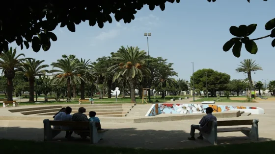 تراجع تدريجي في موجة الحرارة المرتفعة مع توقعات باستمرار الاضطرابات الجوية