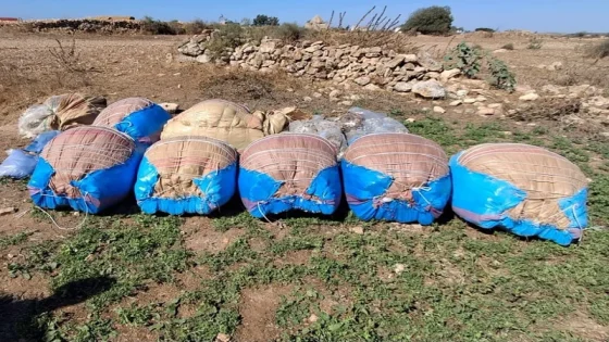 دهليز سري يخفي مخدرات بالجديدة