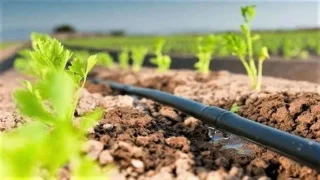 تادلة: مشروع ري بقيمة 81 مليون درهم يثبّت حضور شركة أسترالية في المغرب