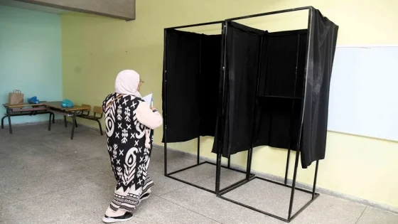 زيادي يفوز بأغلبية الأصوات في بنسليمان: تفاصيل النتائج الأولية