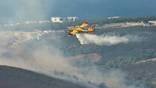 ارتفاع درجات الحرارة يرفع حالة التأهب لمواجهة حرائق الغابات بشمال المغرب