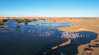 توقعات طقس اليوم الاثنين بالمغرب