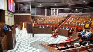 حزب «الديمقراطيين الجدد» يدخل البرلمان لأول مرة، بينما يعود «الصنبور» و«تفاحة» إلى مجلس النواب