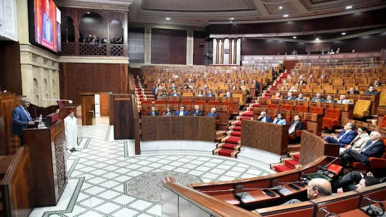 حزب «الديمقراطيين الجدد» يدخل البرلمان لأول مرة، بينما يعود «الصنبور» و«تفاحة» إلى مجلس النواب