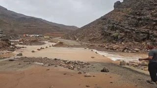 أمطار تعيد الحيوية إلى واحات الجنوب الشرقي