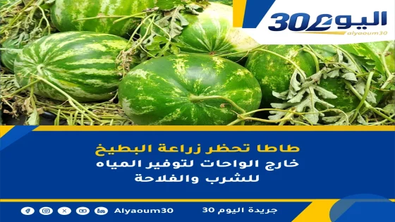 طاطا تحظر زراعة البطيخ خارج الواحات لتوفير المياه للشرب والفلاحة