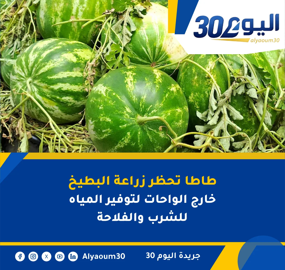 طاطا تحظر زراعة البطيخ خارج الواحات لتوفير المياه للشرب والفلاحة