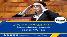المنصوري: الفساد سرطان.. وتحديات الحكومة الجديدة بين نزاهة وبجيجو