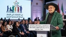 إدماج الأشخاص ذوي الإعاقة في البرامج الحزبية: نداء لتمكين الفاعل لا مجرد مناقشة القضية