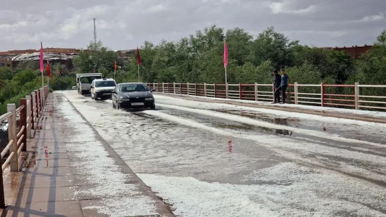 الطقس بالمغرب الثلاثاء: أمطار رعدية ورياح قوية في الجنوب والسهول الشمالية