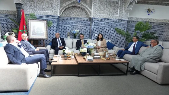 موازين القوى البرلمانية تحدد سيناريوهات تشكيل الحكومة المقبلة: بين الاستقرار والتحديات