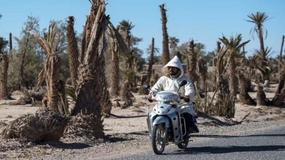 موجة حر قاتمة تتهدّد المغرب: درجات تصل إلى 40 درجة وزخات رعدية مصحوبة برعد وبرد