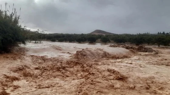 مصرع عامل منجمي في زاكورة: جثة الهالك تكتشف بعد تجريف السيول له على طول وادي آيت أحمان