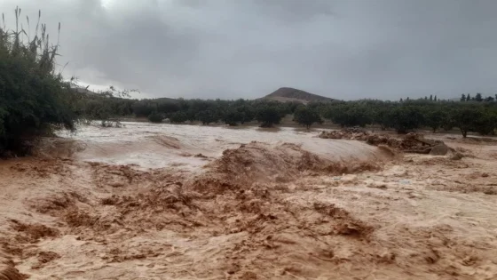 نجاة ثلاثة سياح أجانب من الموت بزيارتهم لمنطقة زاكورة خلال تساقطات رعدية