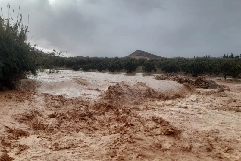 نجاة ثلاثة سياح أجانب من الموت بزيارتهم لمنطقة زاكورة خلال تساقطات رعدية