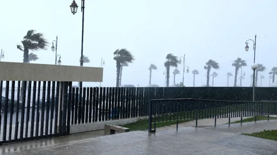 زخات رعدية مصحوبة بتساقط برد تهب على 23 عمالة وإقليما بالمغرب: ما هي المناطق المعنية؟
